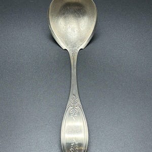 Vintage 1847 Rogers Bros - Olive- Silverplate Ladle Serving Spoon