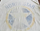 North Star Laying Mash Sack, Grain Sack, General Mills, Fitchburg, Farm Service Company, Primitive