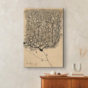 Neuronen print, Santiago Ramón y Cajal, antieke hersenen anatomie Art Print, biologie kunst aan de muur, hersenen anatomie glazen wand decor, vintage anatomisch