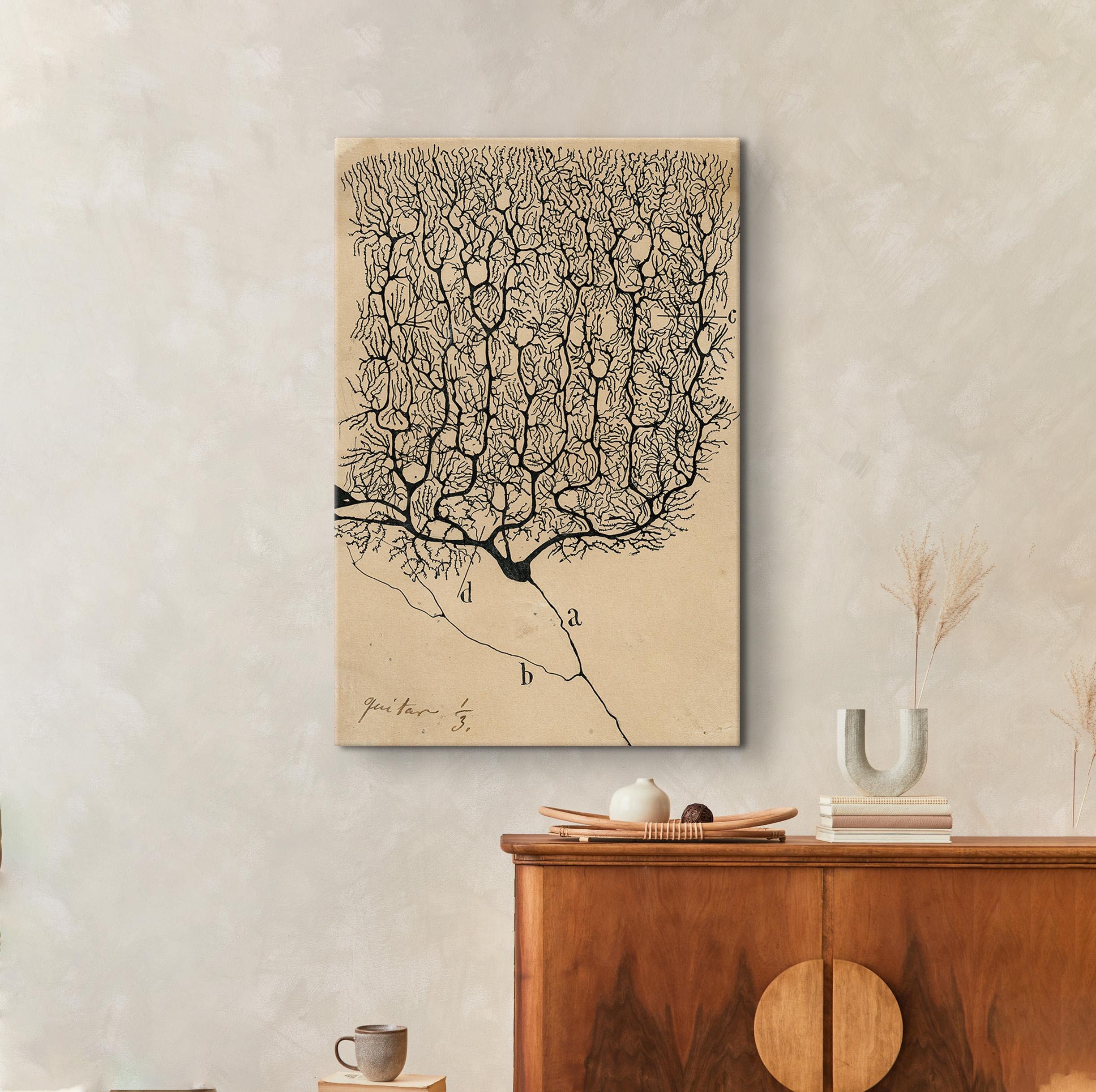 Person Wallpaper Pictures | Download Free Images on Unsplash, image size:2448x2440