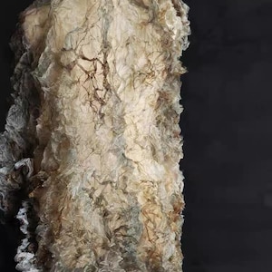 May include: A sleeveless garment featuring a highly textured, crinkled, and translucent fabric in shades of beige, cream, and dark brown. The material is layered to create a voluminous, ruffled appearance with an irregular, organic surface pattern.