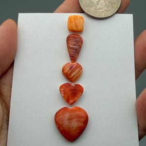 May include: A collection of orange and red spiny oyster shell beads in various shapes, including a square, teardrop, and heart shapes. A US quarter is included for size reference. The beads are displayed on a white card.