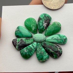 May include: A collection of polished green gemstones arranged in a flower-like pattern, with a quarter coin for size comparison. The gemstones vary in shape and have dark inclusions, showcasing natural variations.