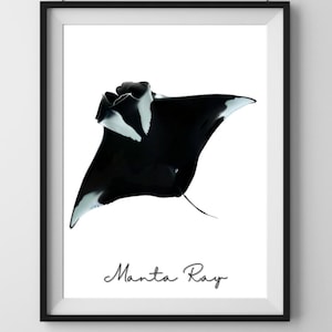 Majestätischer Manta Rochen Druck, Stachelrochen Wandkunst, Manta Rochen digitales Poster, Ozean Liebhaber Geschenk, Unterwasser Tier, Beachy Raumdekor