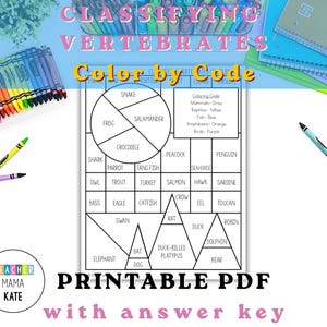 Color by Code | Animal Kingdom | Classifying Vertebrates | Taxonomy | Science Worksheet | Vertebrate Classification | Critical Thinking