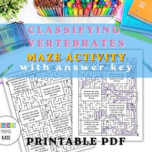 Maze | Animal Kingdom | Classifying Vertebrates | Taxonomy | Science Worksheet | Vertebrate Classification