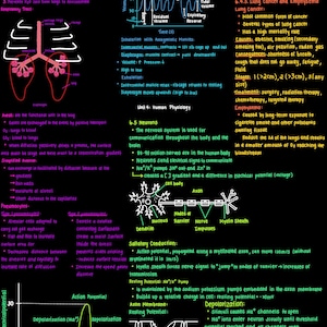 May include: A black and white diagram of the human respiratory system, showing the lungs, trachea, and alveoli. The diagram also includes text explaining the process of gas exchange in the lungs.