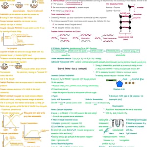 May include: A handwritten diagram explaining the process of DNA replication, cellular respiration, and enzyme activity. The diagram includes text labels and illustrations of the molecules and processes involved.