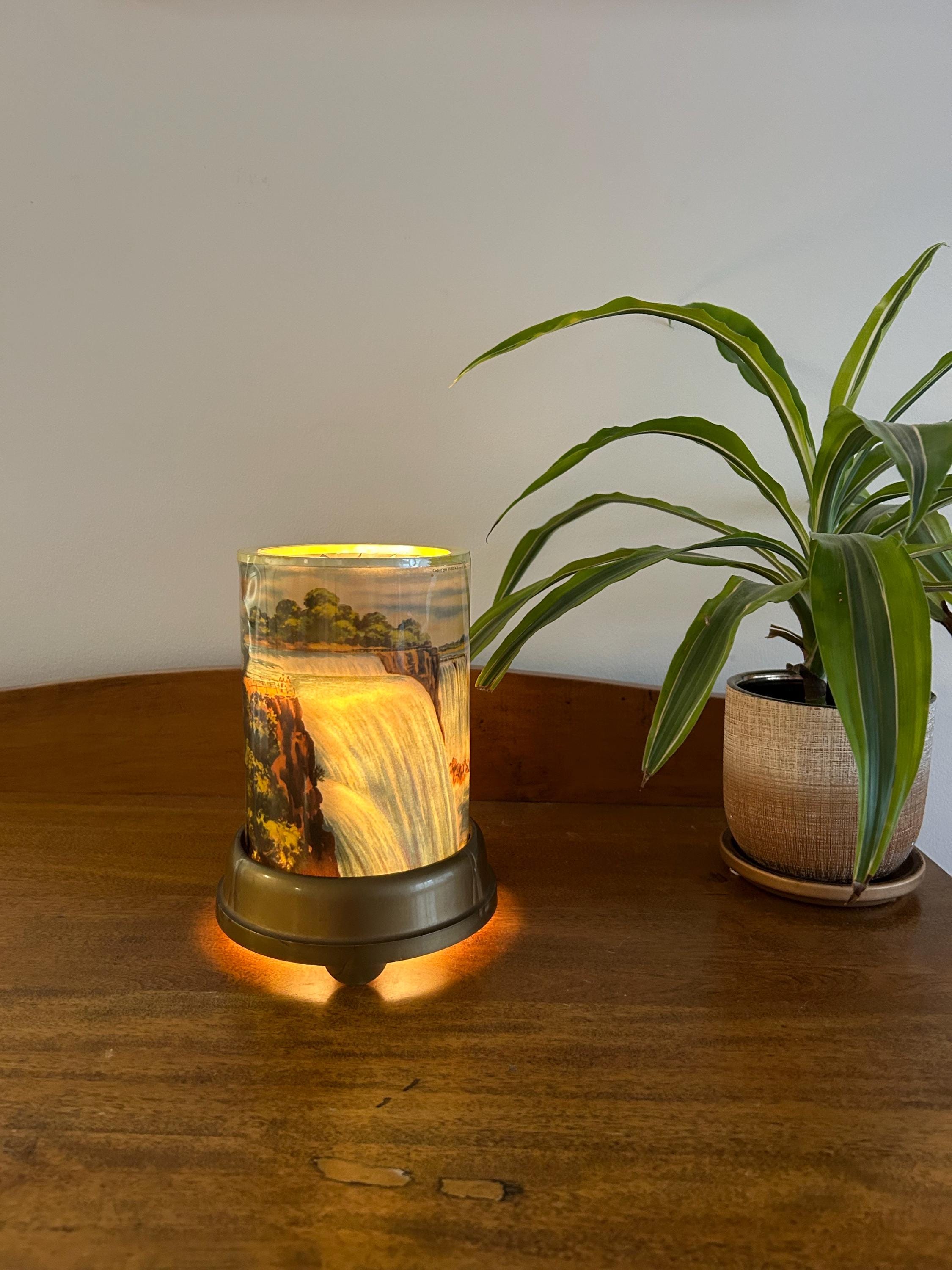 1950s A.B Leech Niagara Falls motion lamp