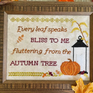 Bliss To Me Cross Stitch Pattern: PDF Instant Download