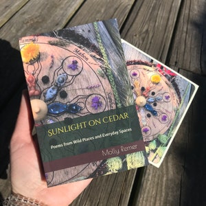 Sunlight on Cedar poetry book (ritual, earth-based, goddess, thealogy, sacred living, priestess, devotion, prayer, blessings)