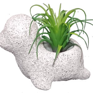 Ceramic Stone Covered Seal Planter - appx 4x5 inches, Indoor Home Decor, Housewarming or Hostess gift (plastic plant not included)