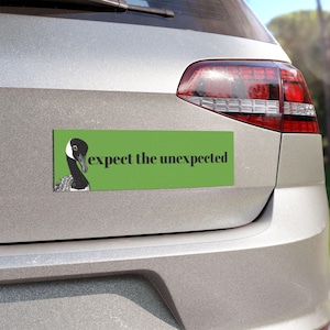 Erwarte die unerwartete lustige Gans Auto-Magnet, Tierliebhaber Geschenk, Hand gezeichnete Gänse, einzigartiger Magnet, schrulliges Zitat-Automobil-Dekor