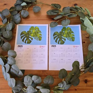 Monstera Plant Calendar 2025, Wall Calendar, Nature Lover Gift,  Modern Wall Calendar, tropical leaves, pdf, instant download