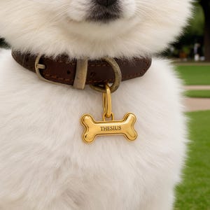 May include: A gold-colored bone-shaped pet tag with the name "THESIUS" engraved on it, hanging from a brown leather collar. The dog tag is attached to a metal ring. The dog has white fur.