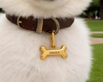 Personalized Bone Drunmstick Paw Print Shape Design Pet Name Tag with Number and Address Daily Use Pet Birthday Gift for Pet Owners