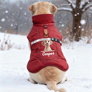 May include: A red dog jacket with the name "Cooper" printed on the back. The jacket features a cartoon dog graphic and the brand name "DUOMM". The dog is sitting in the snow.