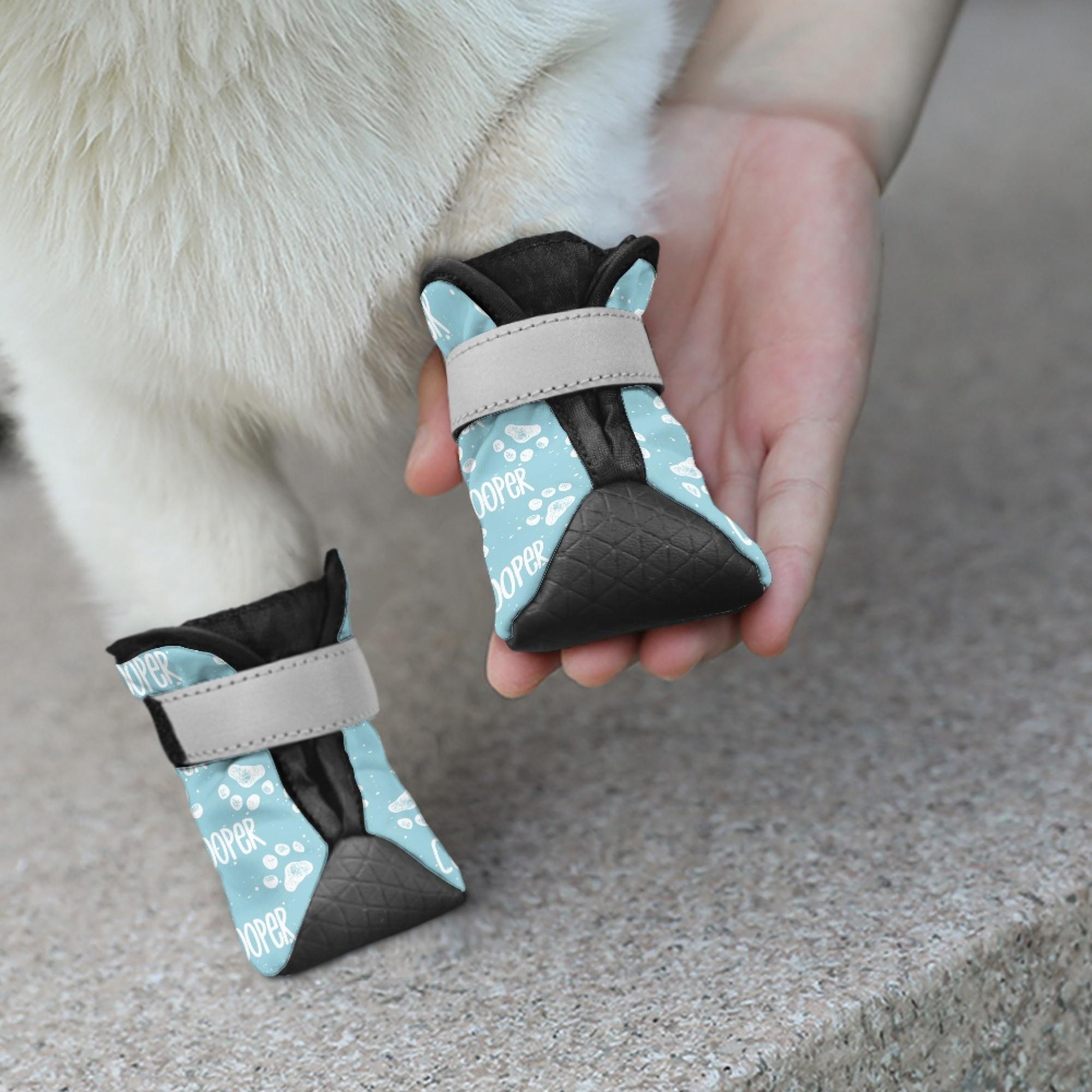 Buy Custom Dog Shoes Online In India India