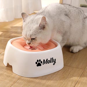best dry cat food on chewy Stella & Chewy's Freeze Dried Cat Food