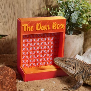 May include: A red and orange box with the text "The Dan Box" in yellow. The box has a patterned interior and is displayed with a lizard and plants.