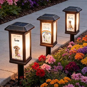 May include: Three solar-powered memorial garden lights with personalized pet photos. Each light has a bronze-colored frame, a solar panel on top, and a photo of a pet with its name and dates. The lights are set in a flower garden.