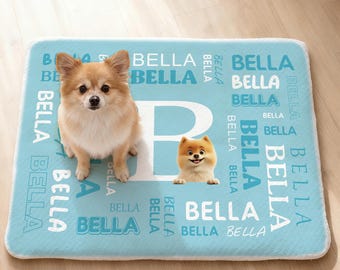 Personalized Multicolor 3D Cartoon Dog Cat Soft Pet Mat with Name Pet Birthday Adoption Anniversary Christmas Gift for Pet Lovers Owners