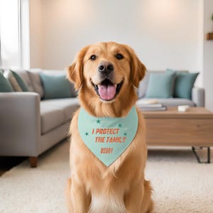 Könnte beinhalten: Ein Golden Retriever trägt ein hellblaues Halstuch mit dem Text "I PROTECT THE FAMILY BUDDY" in Rot und Weiß. Das Halstuch hat grüne Sternakzente. Der Hund sitzt auf einem weißen Teppich.
