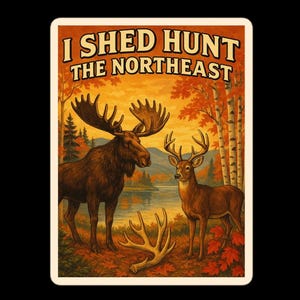 Sticker I Shed Hunt the Northeast – Sticker vintage élan et cerf de 4 po. – Cadeau de chasse dans la remise – Northeast Nature Watch