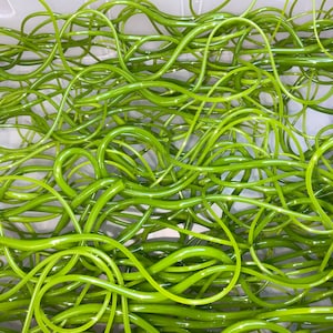 May include: A close-up shot of a pile of bright green, curly, and glossy garlic scapes. The scapes are intertwined and appear fresh, with a vibrant color. The background is a light, neutral color, providing contrast to the green scapes.