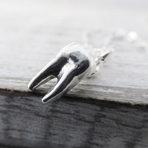 Sterling Silver Tooth Charm Necklace, Gift For Dental Hygienist, Human Molar Tooth Charm, Gift For Dentist, Molar Charm Necklace, Baby Tooth image 4