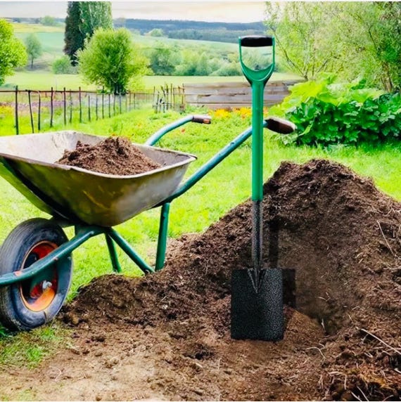 Border spade shovel discount