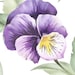 Owner of <a href='https://www.etsy.com/shop/thevioletpansy?ref=l2-about-shopname&from_page=listing' class='wt-text-link'>thevioletpansy</a>