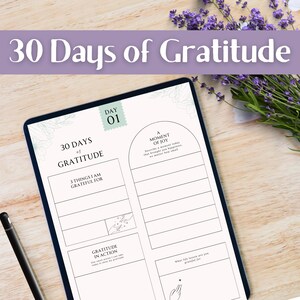 May include: A journal with the text "30 Days of Gratitude" and prompts for daily reflection. The journal is open to a page labeled "Day 01" with sections for gratitude and joy. A black pen rests on the wooden surface.