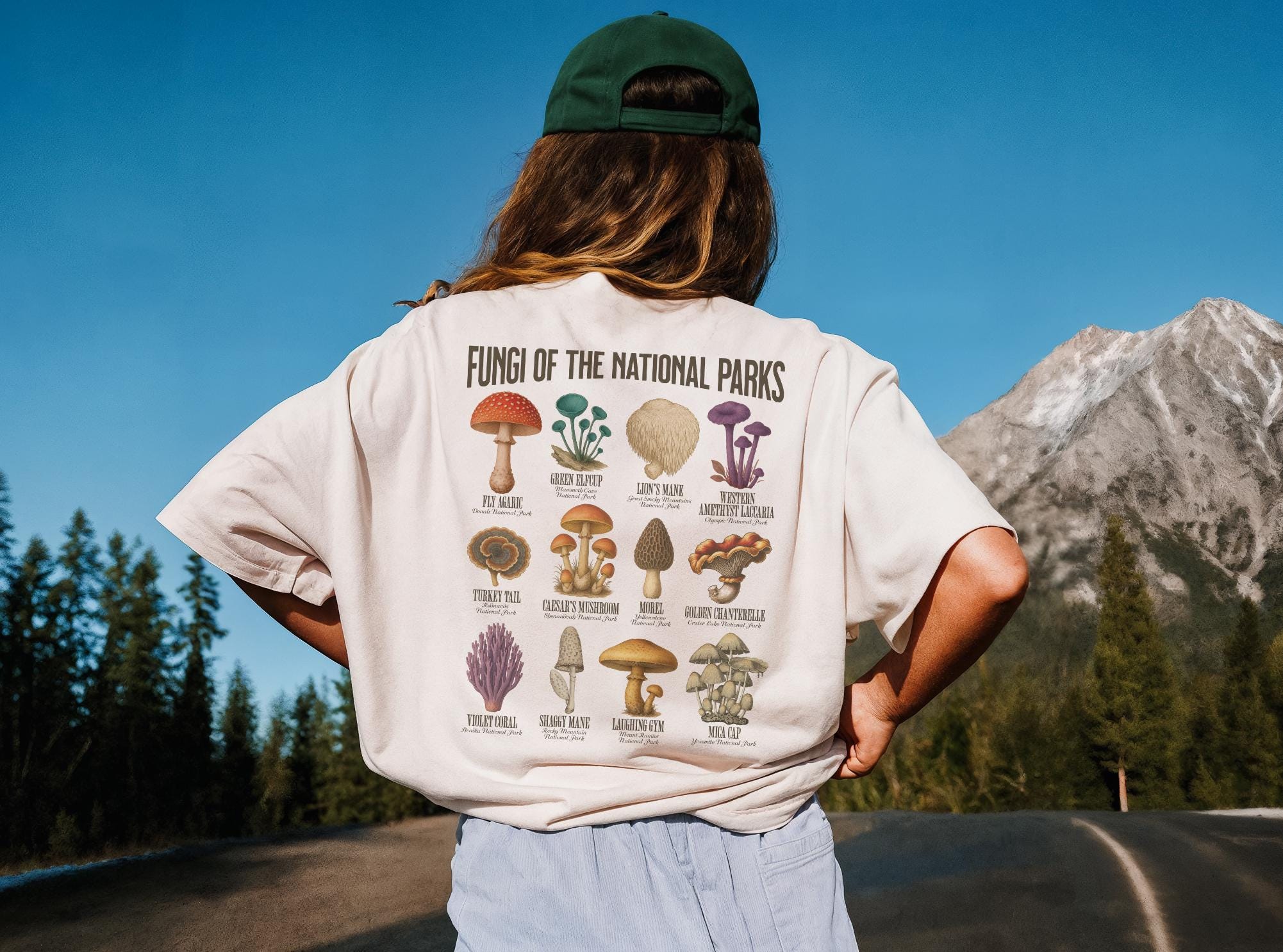National Park Mushroom Shirt, Comfort Colors® Fungi Tee, Vintage Mycology T-Shirt, Forager Gift, Mushroom Lover Shirt, Hiker Fall Fashion