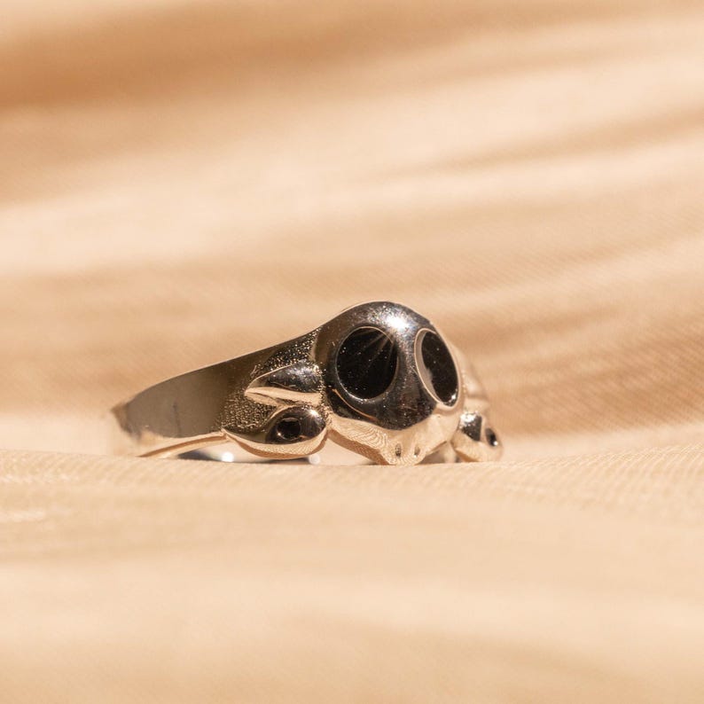 May include: A silver ring with a skull design. The skull has black eyes and a detailed design.