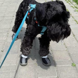Dog Boots, Outdoor Hiking Shoes For Dog, Pet Shoes, Shoes For Pet, Outdoor Pet Shoes, Dog Booties, Small Dog Shoes, Large Dog Shoes,Cute Fit