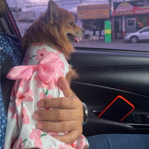 Chic Pink Dog Dress with Ruffles, Soft and Lightweight Pet Outfit Dogs, Cute Everyday Wear with Stretchy Fit and Adorable Feminine Style