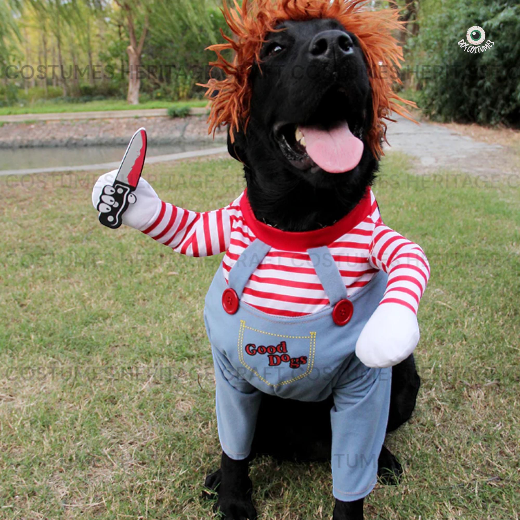 Chucky Costume For Dogsnull