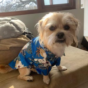 Tropical Dog Hawaiian Shirt, Summer Pet Beachwear, Luau Dog Outfit for Small & Large Dogs, Dog Aloha Shirt Summer Outfit, Hawaiian Dog Shirt