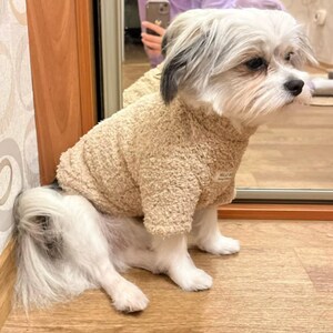 May include: A small, fluffy dog wearing a tan, textured sweater with a hood. The dog is mostly white with patches of black and gray fur. The sweater has a small label on the front.