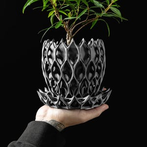 Cache-pot Envahisseur