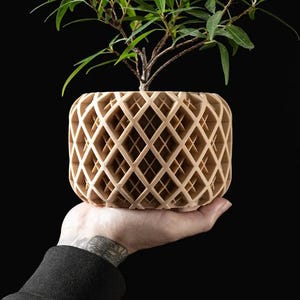 May include: A light brown, geometric planter with a diamond pattern, holding a small green plant. The planter is being held in a person's hand.
