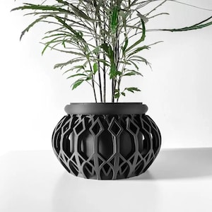 May include: A black planter with a geometric design, featuring a leafy green plant.