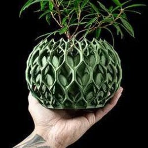 Peut inclure: Un pot de fleurs vert, géométrique, imprimé en 3D avec une petite plante qui pousse à l'intérieur. Le pot a la forme d'une sphère avec un motif en nid d'abeille.