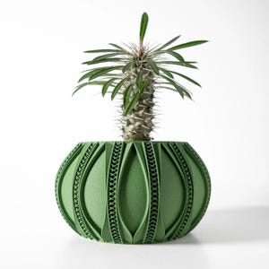 May include: A green, decorative planter with a unique, geometric design, holding a small succulent plant. The planter has an oval shape with intricate, repeating patterns. The plant has green leaves and a spiky stem.