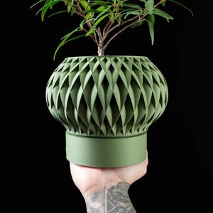 May include: A green geometric planter with a small plant inside. The planter has a unique, folded design and is being held by a hand.