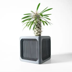 Peut inclure: Un pot de fleurs gris avec un motif géométrique et une petite plante verte avec une tige épineuse qui pousse.
