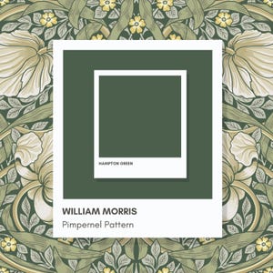 K&ouml;nnte beinhalten: Eine quadratische Grafik mit dem William Morris Pimpernel-Muster aus gr&uuml;nen Bl&auml;ttern und cremefarbenen Bl&uuml;ten. Zentriert ist ein wei&szlig; umrandetes Quadrat mit einem soliden Hampton Green-Block und dem Text Hampton Green, William Morris und Pimpernel Pattern.