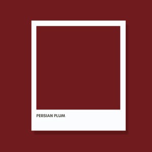 May include: A square graphic design featuring a solid Persian plum colored center framed by a thick white border. The text PERSIAN PLUM is printed in a clean, dark sans-serif font at the bottom of the white border area, centered below the color block.
