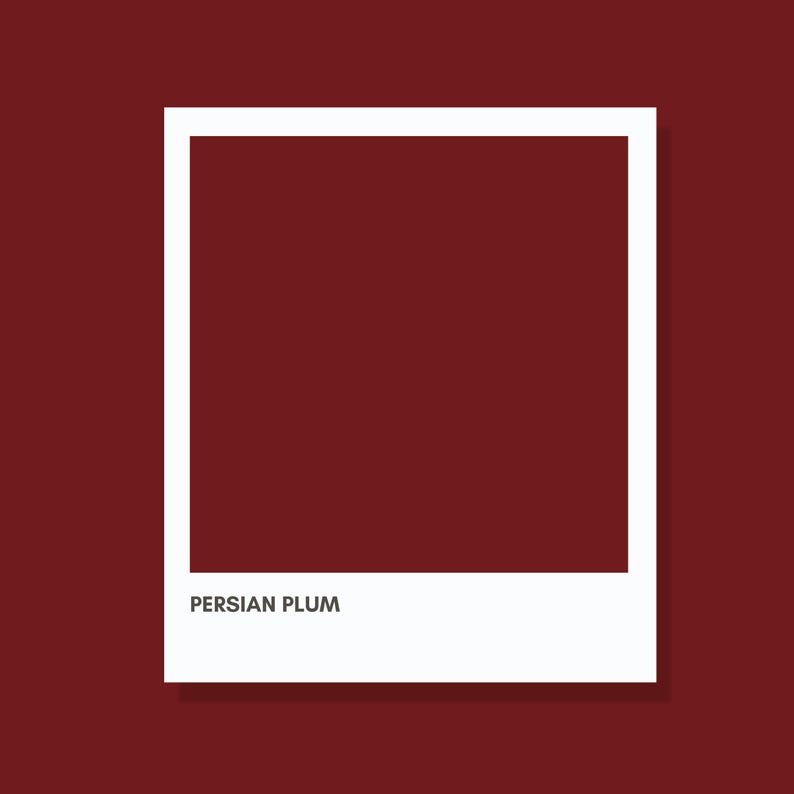 May include: A square graphic design featuring a solid Persian plum colored center framed by a thick white border. The text PERSIAN PLUM is printed in a clean, dark sans-serif font at the bottom of the white border area, centered below the color block.
